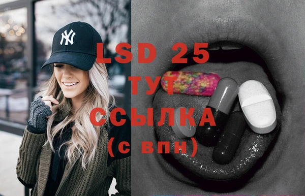 спиды Аркадак