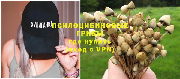 спиды Аркадак