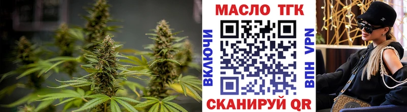 закладки  Тосно  ТГК концентрат 